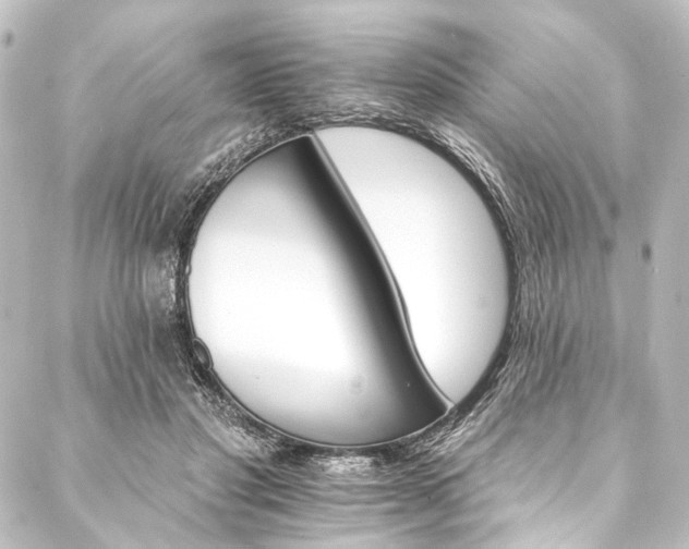 X0000088200501200705151316