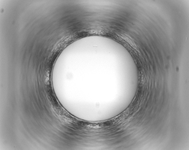 X0000088200502200705151316