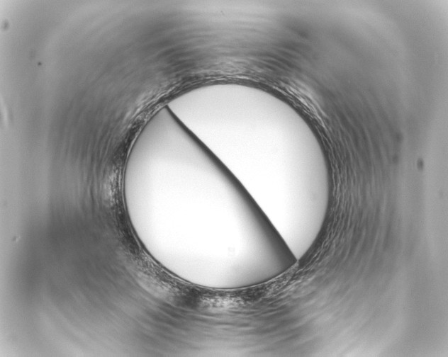 X0000088200503200705151316