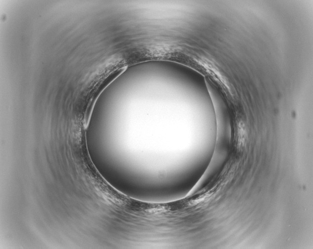 X0000088200505200705151316