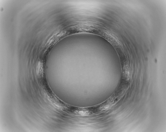 X0000088200506200705151316