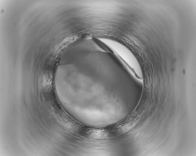 X0000088200507200705151316