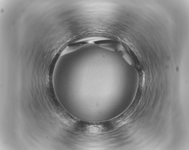 X0000088200508200705151316