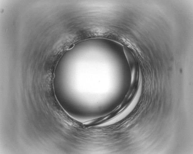 X0000088200509200705151316