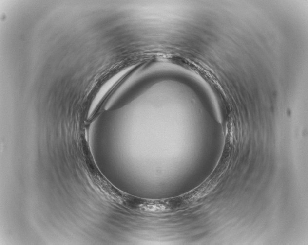 X0000088200512200705151316