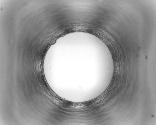 X0000088200514200705151316