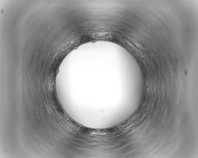 X0000088200515200705151316