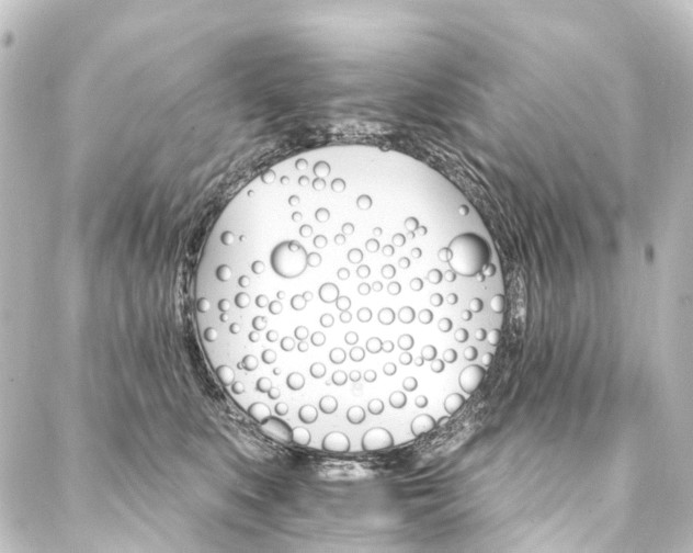 X0000088200519200705151316