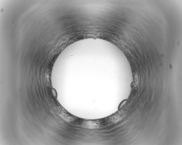 X0000088200522200705151316