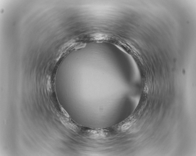 X0000088200524200705151316
