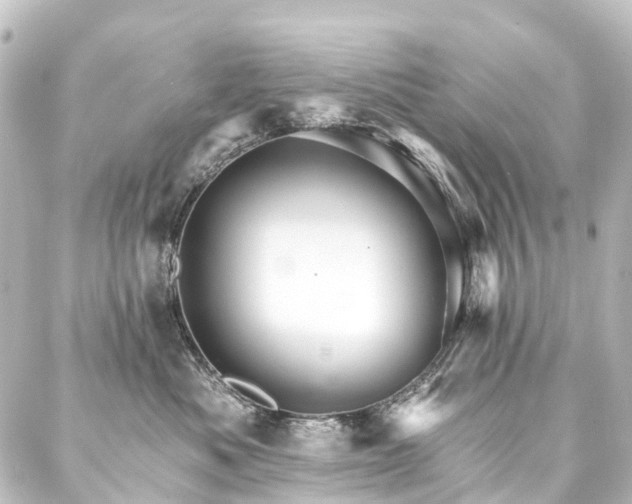 X0000088200525200705151316