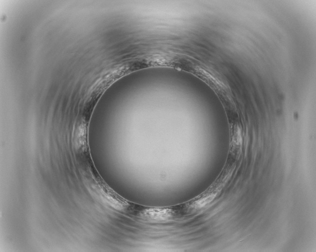 X0000088200526200705151316