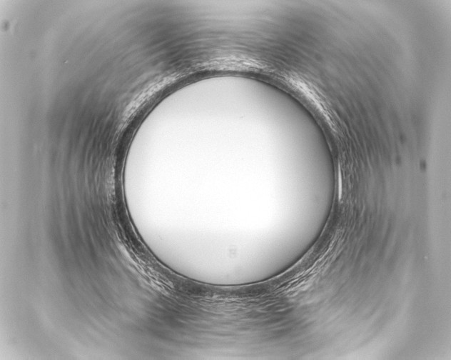 X0000088200531200705151315