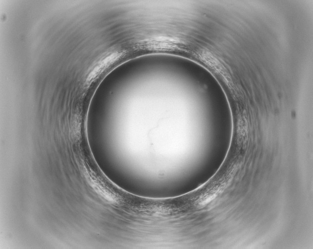 X0000088200533200705151315
