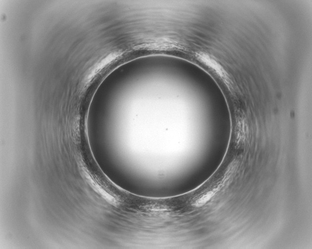 X0000088200535200705151315