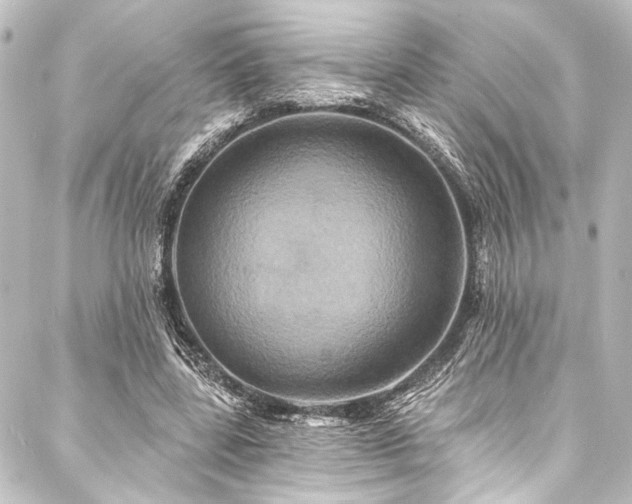 X0000088200539200705151315