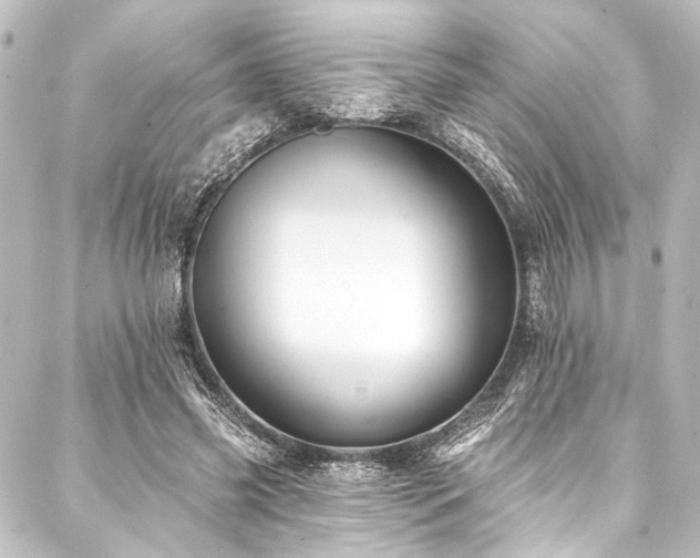 X0000088200541200705151315