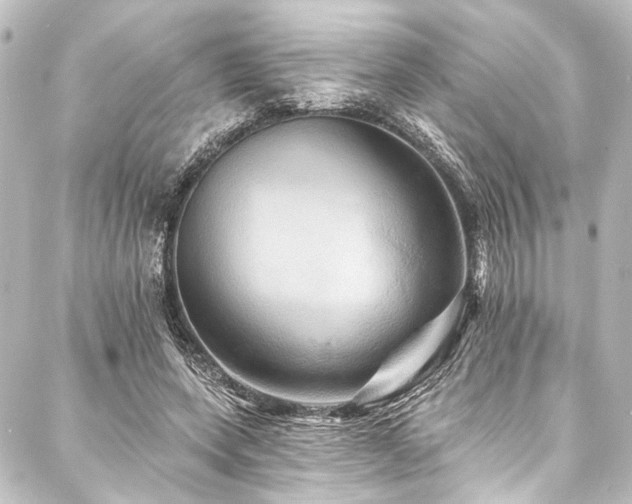 X0000088200543200705151315