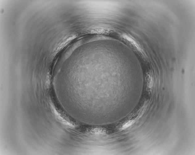 X0000088200546200705151315