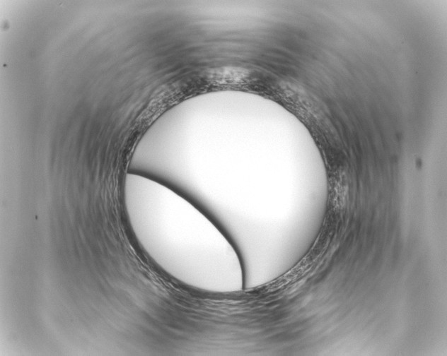 X0000088200561200705151315