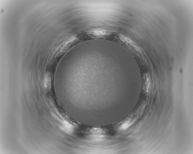 X0000088200562200705151315
