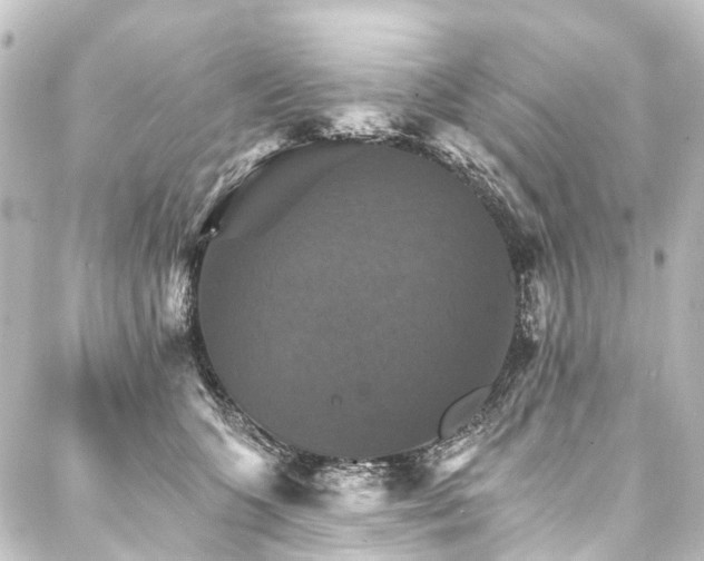X0000088200563200705151315