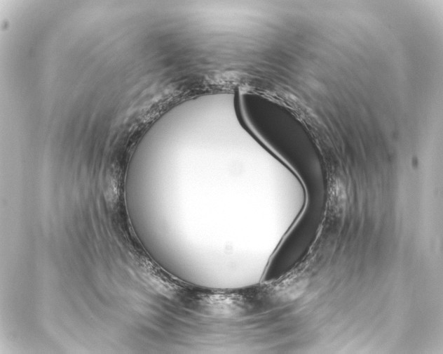 X0000088200566200705151315