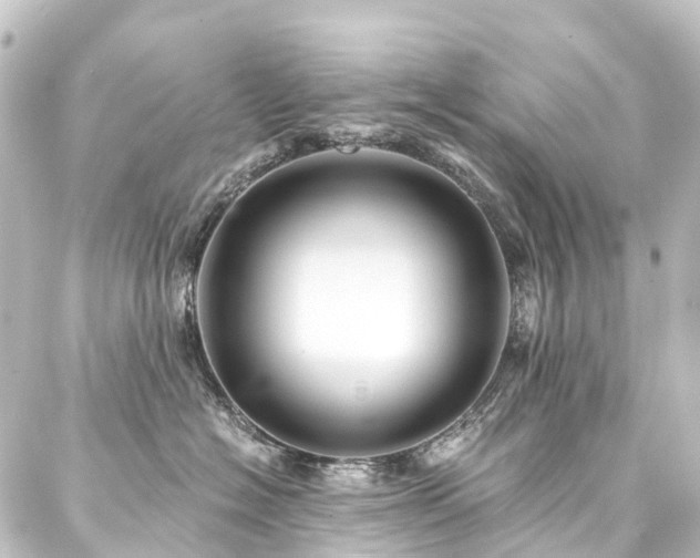 X0000088200574200705151316