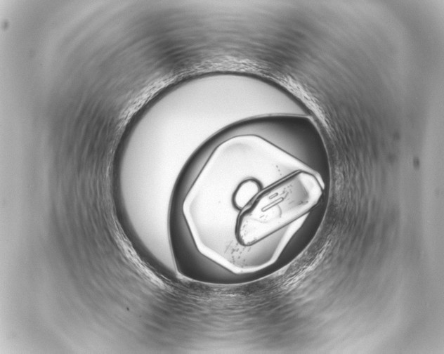 X0000088200581200705151315