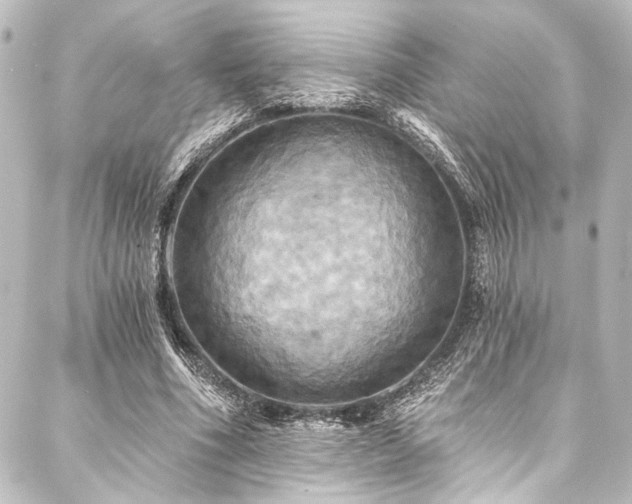 X0000088200586200705151315