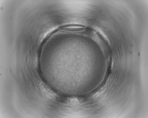 X0000088200588200705151315