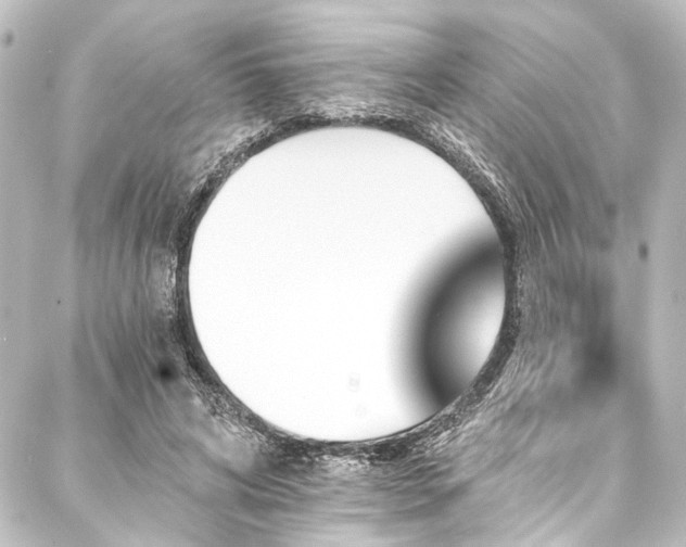 X0000088200592200705151315