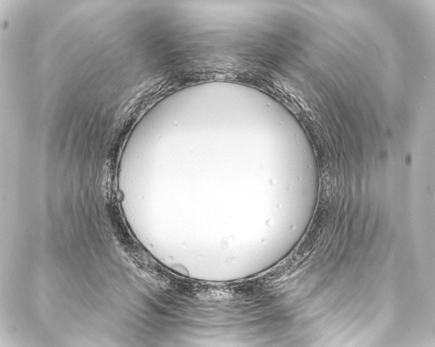 X0000088200594200705151315
