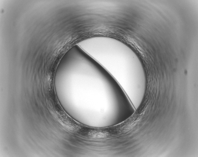 X0000088200597200705151315