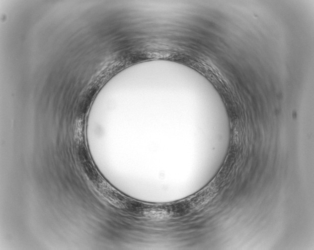 X0000088200598200705151315