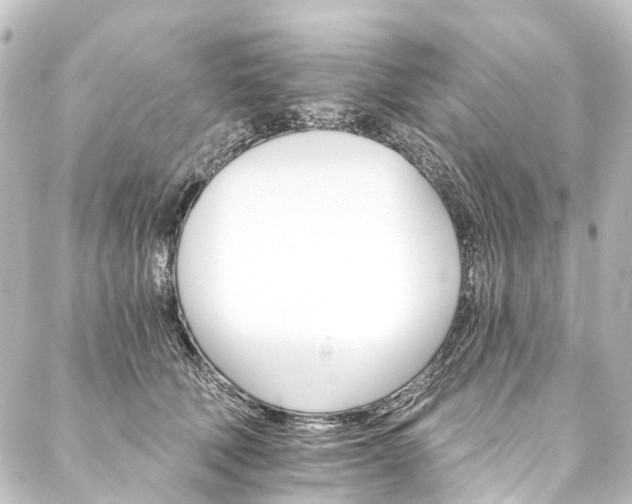 X0000088200610200705151314