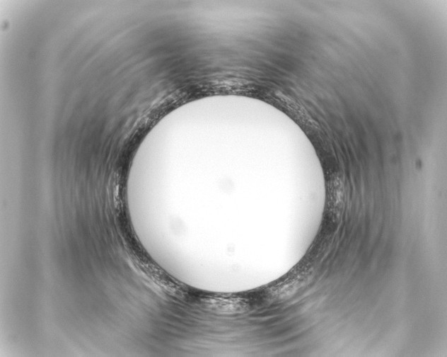 X0000088200615200705151314