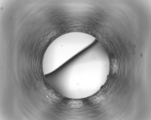 X0000088200619200705151314