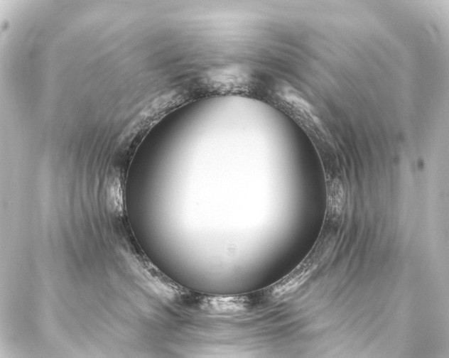 X0000088200622200705151314