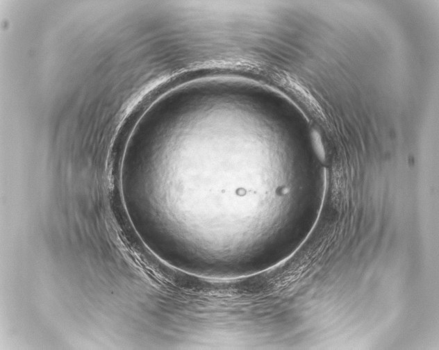 X0000088200628200705151313
