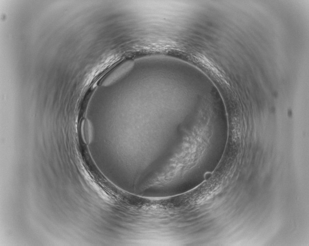 X0000088200634200705151313