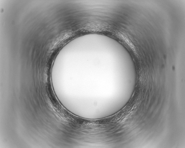 X0000088200635200705151313