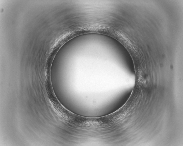 X0000088200636200705151314