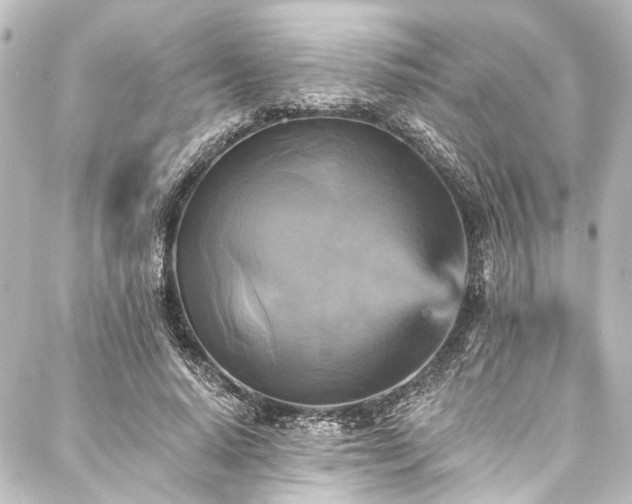 X0000088200640200705151314