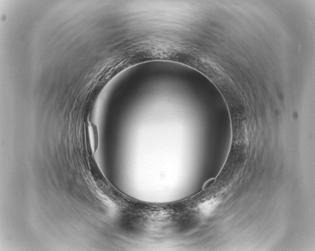 X0000088200646200705151314