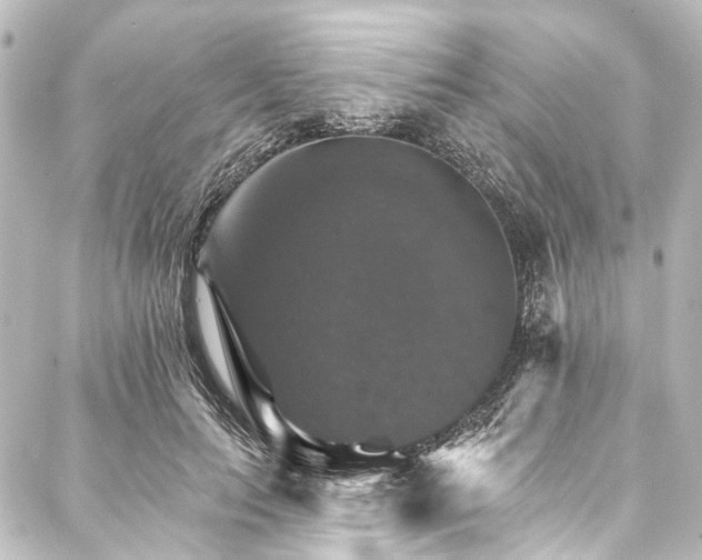 X0000088200647200705151314