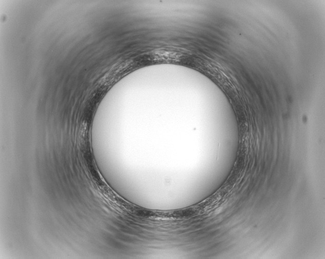 X0000088200649200705151314
