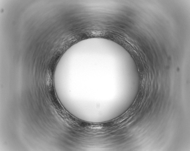 X0000088200651200705151314