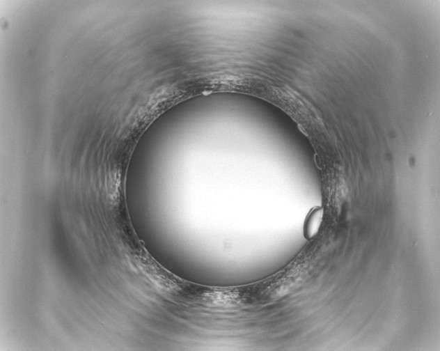 X0000088200660200705151314