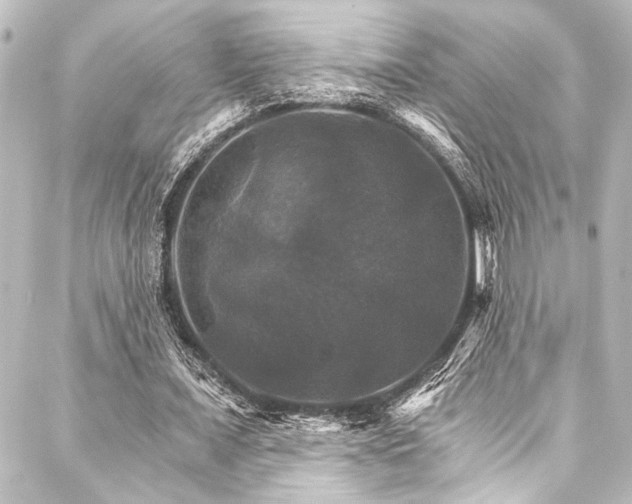 X0000088200675200705151313